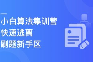 小白算法集训营-大幅提升刷题量，快速逃离新手区（完结）