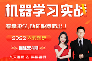 机器学习-九天菜菜-机器学习实战【训练营3期】数据技术课堂