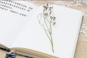 基于SpringCloud Alibaba+SSM架构《云医疗管理平台》实战+资料完整