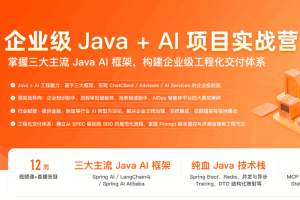 企业级Java+AI项目实战营